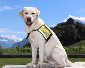 Lire la suite à propos de l’article Notre soutien à la Fondation Le Copain